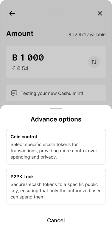 A mobile wallet interface with a bottom sheet that lists the following actions, Coin control, and P2PK Lock.