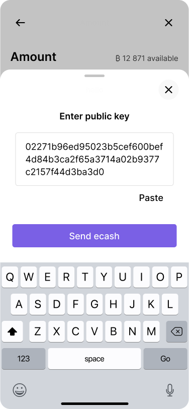 A mobile wallet interface with an input field to enter the recipient's public key.