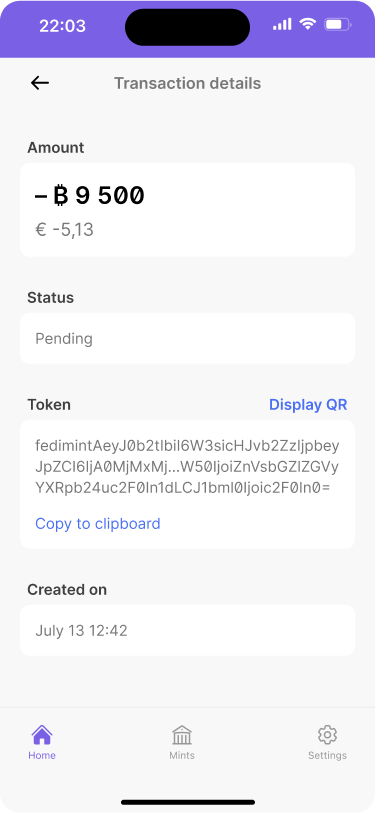 Expanded view of a pending payment, showing the memo, amount, and the mint that created the token.