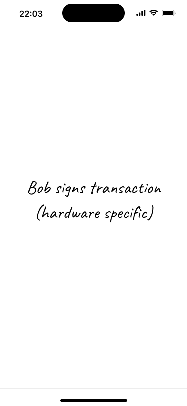 Placeholder screen representing the transaction signing flow on Bob's hardware wallet.