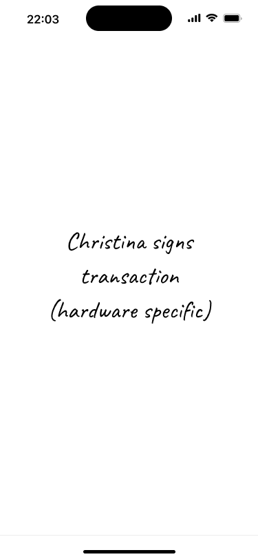 Placeholder screen representing the transaction signing flow.