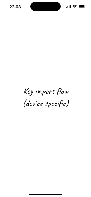 Placeholder screen for the key import flow.